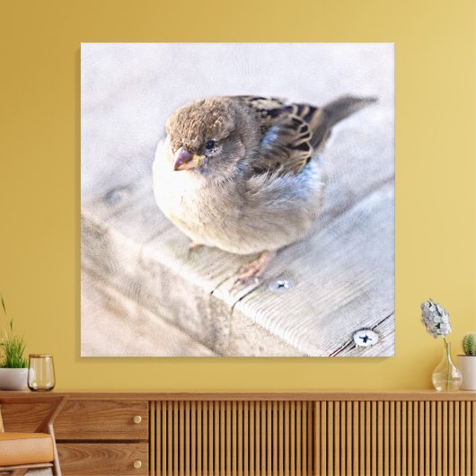 Toile Sparrow (Insitu(Salon))