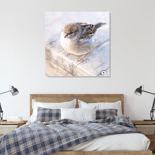 Toile Sparrow (Insitu(Chambre))