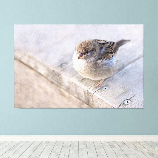 Toile Sparrow (Insitu (Plancher de Bois))