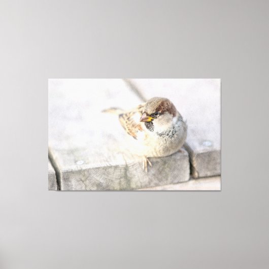 Toile Sparrow - Après la transatlantique (Recto)