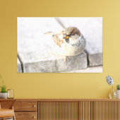 Toile Sparrow - Après la transatlantique (Insitu(Salon))