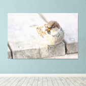 Toile Sparrow - Après la transatlantique (Insitu (Plancher de Bois))