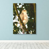 Toile Sparrowhawk (Insitu (Plancher de Bois))