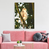 Toile Sparrowhawk (Insitu(Salon))