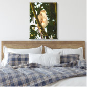 Toile Sparrowhawk (Insitu(Chambre))