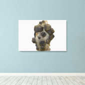 Toile Spessartite dans la matrice (Insitu (Plancher de Bois))