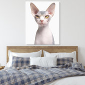 Toile Sphynx (7 months old) (Insitu(Chambre))