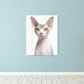 Toile Sphynx (7 months old) (Insitu (Plancher de Bois))