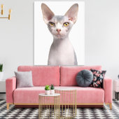 Toile Sphynx (7 months old) (Insitu(Salon))