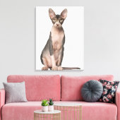 Toile Sphynx (7 months old) sitting (Insitu(Salon))