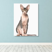 Toile Sphynx (7 months old) sitting (Insitu (Plancher de Bois))