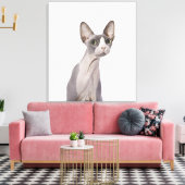 Toile Sphynx Cat with surprised expression (Insitu(Salon))