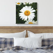 Toile Spider sur Daisy (Insitu(Chambre))