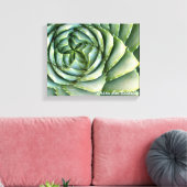 Toile Spiral Aloe photo de Debra Lee Baldwin (Insitu(Salon))