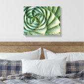 Toile Spiral Aloe photo de Debra Lee Baldwin (Insitu(Chambre))