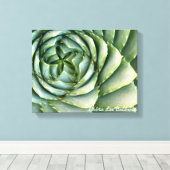 Toile Spiral Aloe photo de Debra Lee Baldwin (Insitu (Plancher de Bois))