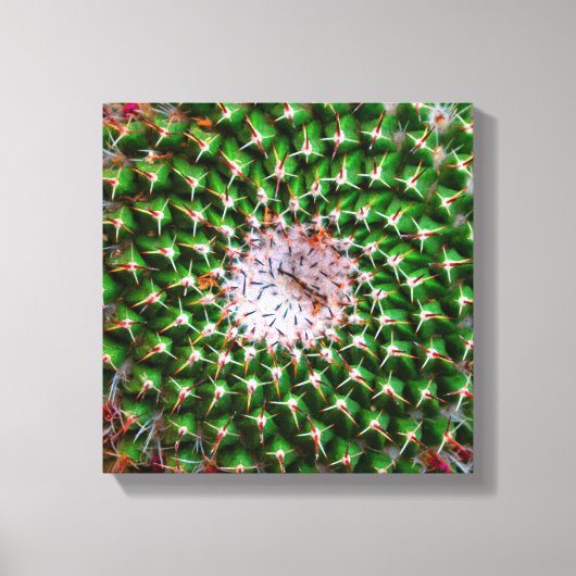 Toile Spirale de Cactus (Recto)