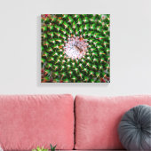 Toile Spirale de Cactus (Insitu(Salon))