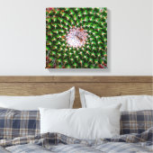 Toile Spirale de Cactus (Insitu(Chambre))