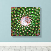 Toile Spirale de Cactus (Insitu (Plancher de Bois))