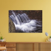 Toile Splash (Insitu(Salon))