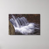 Toile Splash (Recto)