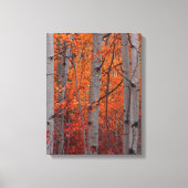 Toile Splendor d'automne (Recto)