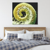 Toile Squash Plante Tendril (Insitu(Chambre))