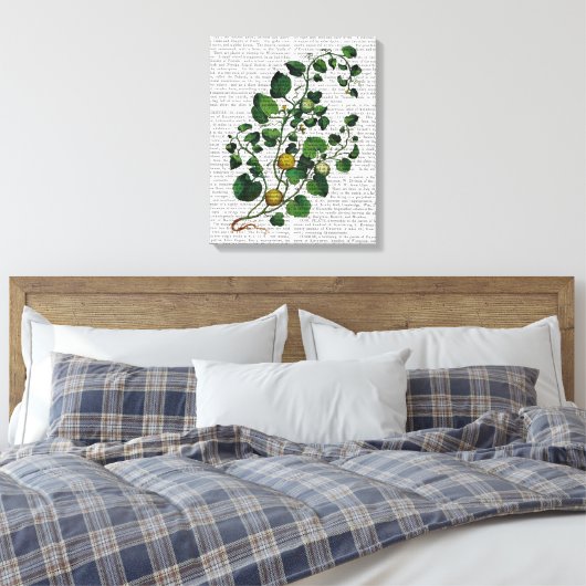 Toile Squash Vine 4 (Insitu(Chambre))