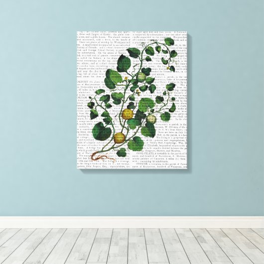 Toile Squash Vine 4 (Insitu (Plancher de Bois))