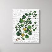 Toile Squash Vine 4 (Recto)