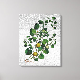 Toile Squash Vine 4