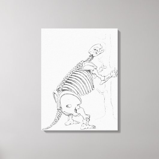Toile Squelette d'un Mylodon (Recto)
