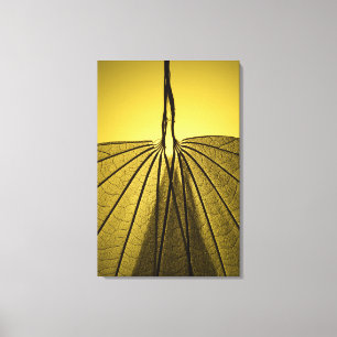 Toile Squelette feuille