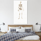 Toile Squelette humain (Insitu(Chambre))