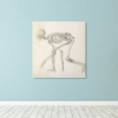 Toile Squelette humain : Vue latérale dans la posture de (Insitu (Plancher de Bois))