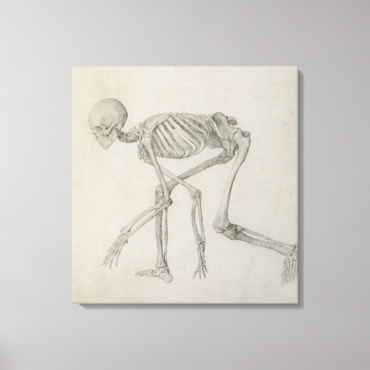 Toile Squelette humain : Vue latérale dans la posture de (Recto)