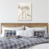 Toile Squelette humain : Vue latérale dans la posture de (Insitu(Chambre))
