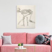 Toile Squelette humain : Vue latérale dans la posture de (Insitu(Salon))