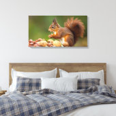 Toile squirrel eating nut (Insitu(Chambre))