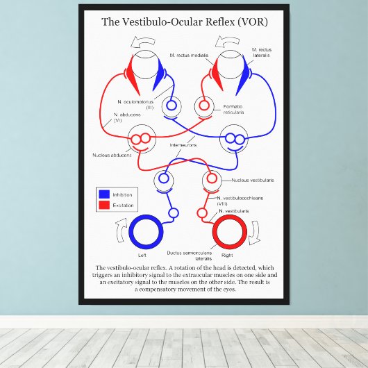 Toile Stabilisation du mouvement oculaire Vestibulo Ocul (Insitu (Plancher de Bois))