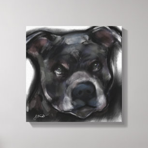Toile Staffordshire Terrier Américain