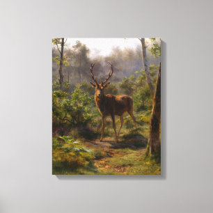 Toile Stag (Homme Deer) dans un paysage forestier