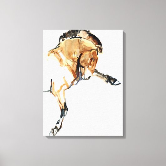 Toile Stallion (Recto)
