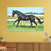 Toile Stallion de thé Akhal noir galopant paddock clôtur (Insitu(Salon))