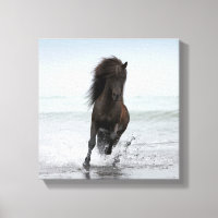 Stallion En Course Sur La Plage | Atlantique Nord