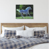 Toile Stallion Thoroughbred Running (Insitu(Chambre))