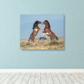 Toile Stallions de Cheval Sauvage combattant (Insitu (Plancher de Bois))