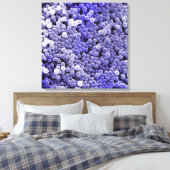 Toile Staphylococcus (Insitu(Chambre))