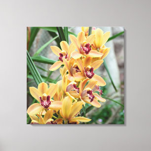Toile Star Orchids